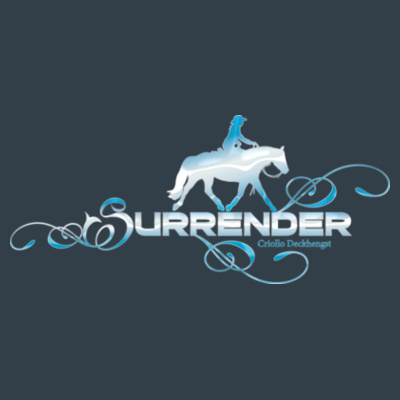 Rückendruck - Ladies' Slub-Top Design