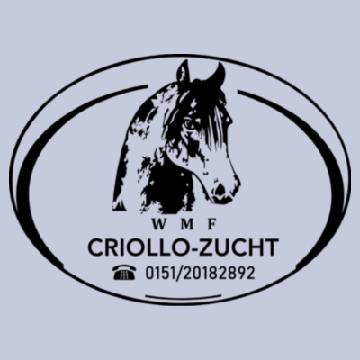 Druck - Ladies' Basic-T Design