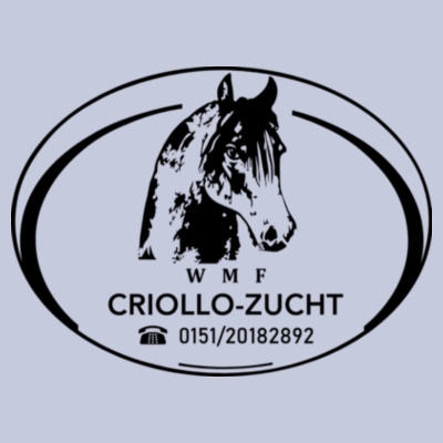 Druck - Promo Hoody Lady Design