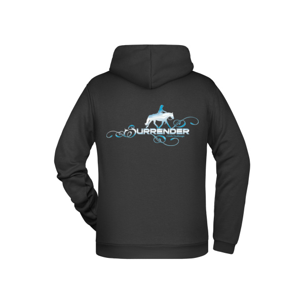Rückendruck - Men's Promo Hoody Miniaturansicht