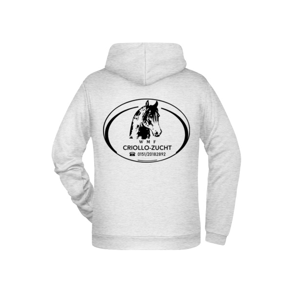Druck - Men's Promo Hoody Miniaturansicht