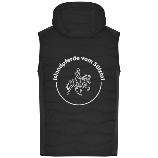 Rückenstick - Men's Hybrid Vest Miniaturansicht