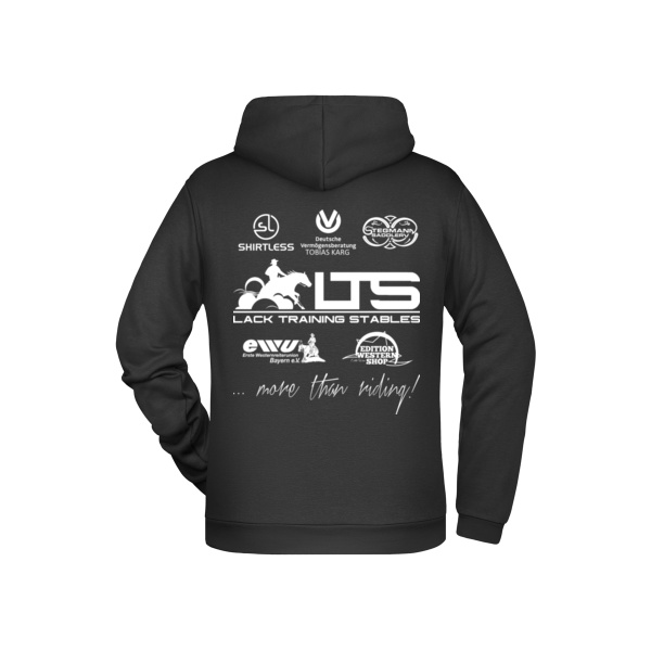 Rückendruck - Men's Promo Hoody Miniaturansicht